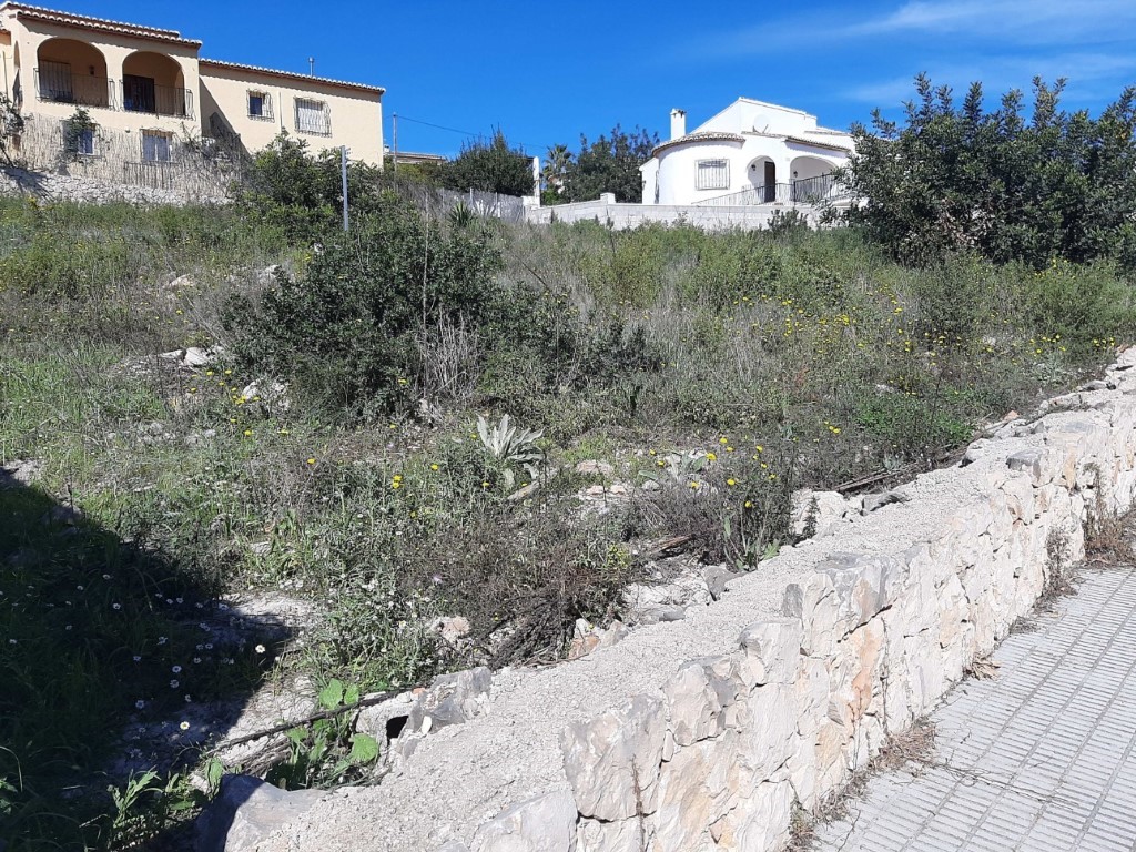 Parcela elevada con vegetación mediterránea autóctona y muro de contención de piedra natural, situada frente a una acera pavimentada bajo un cielo despejado.