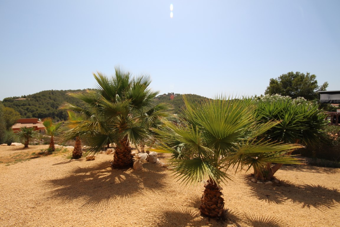 Jardín mediterráneo de bajo mantenimiento con palmeras y yucas sobre grava decorativa, con vistas despejadas a las colinas circundantes.