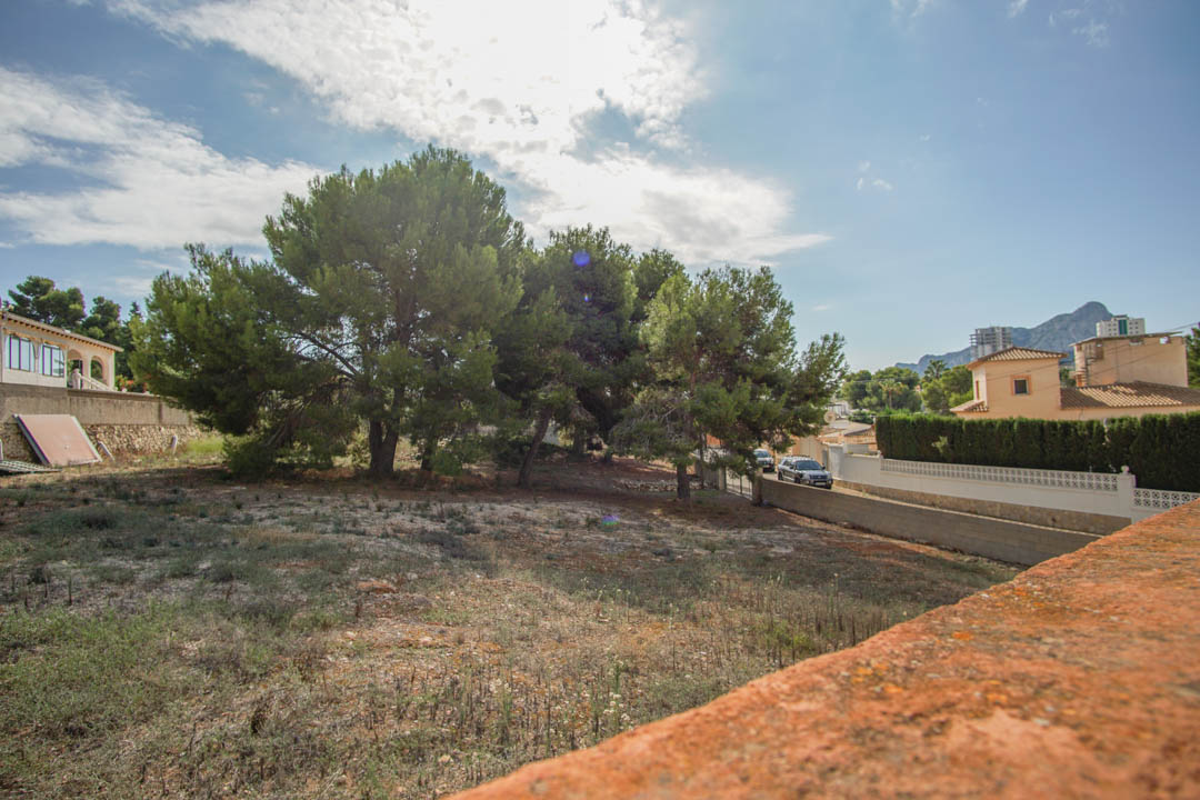 Terreno exterior con pinos maduros y vistas despejadas a las montañas circundantes, delimitado por muros de piedra en una zona residencial tranquila.