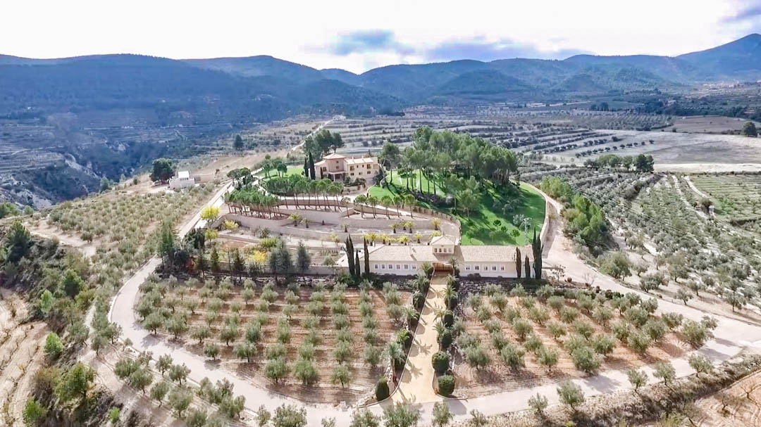 Vista aérea de la finca mostrando el chalet principal, la casa de entrada y los extensos olivares ecológicos en terrazas, rodeados por un entorno montañoso natural.