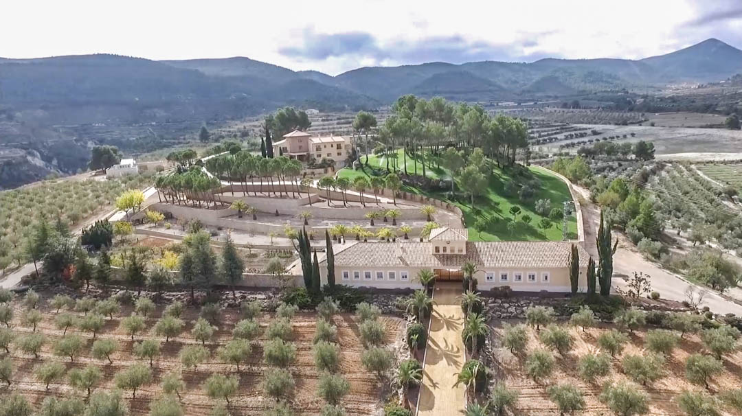 Vista aérea de la finca mostrando los extensos olivares, el edificio de entrada y la villa principal situada sobre una colina aterrazada rodeada de pinos.