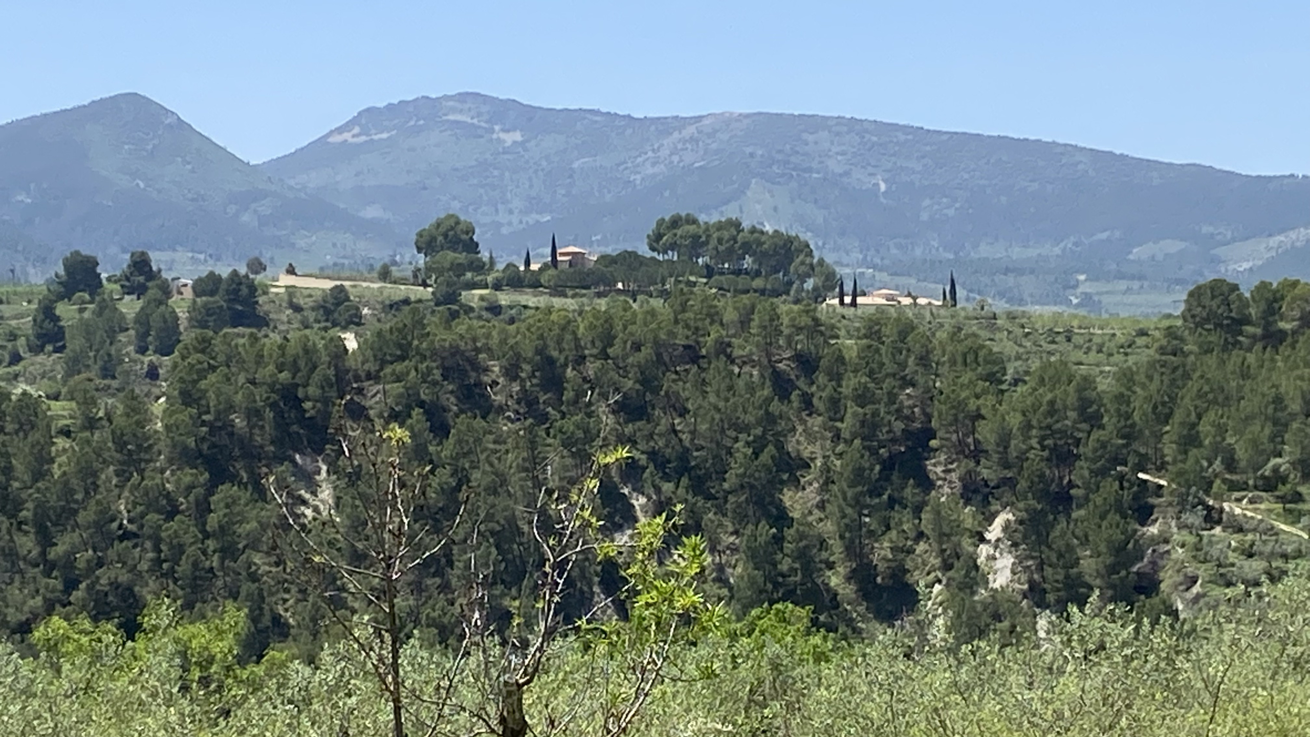 Vista panorámica de la finca rodeada de densos bosques de pinos y montañas, destacando las edificaciones integradas en el paisaje natural bajo un cielo despejado.