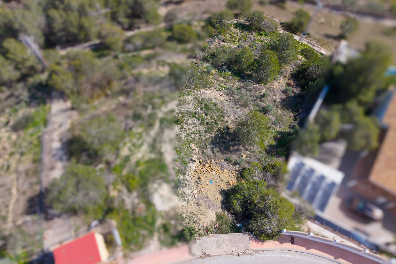 Vista aérea cenital de la parcela en pendiente, mostrando la vegetación autóctona de pinos y el terreno rocoso natural en la zona de Los Bancales.