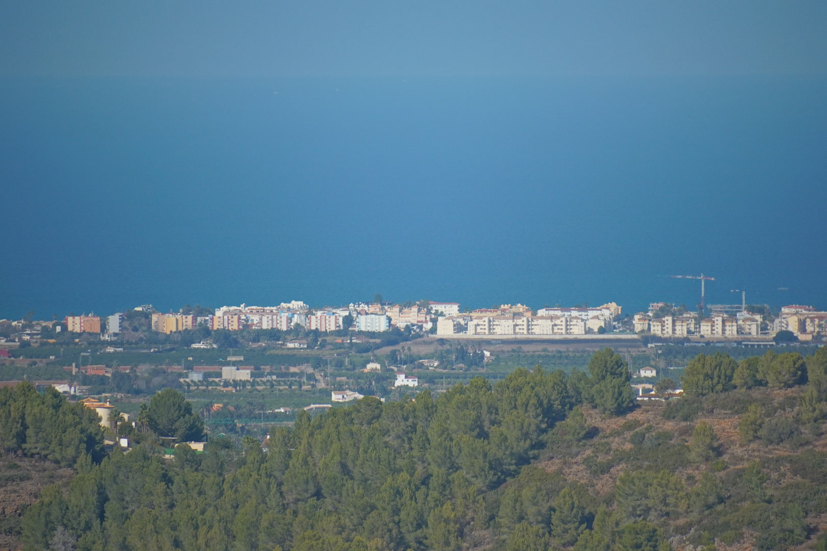 Vistas panorámicas desde la propiedad hacia la costa mediterránea, destacando el contraste entre el frondoso bosque de pinos y el azul del mar en el horizonte.