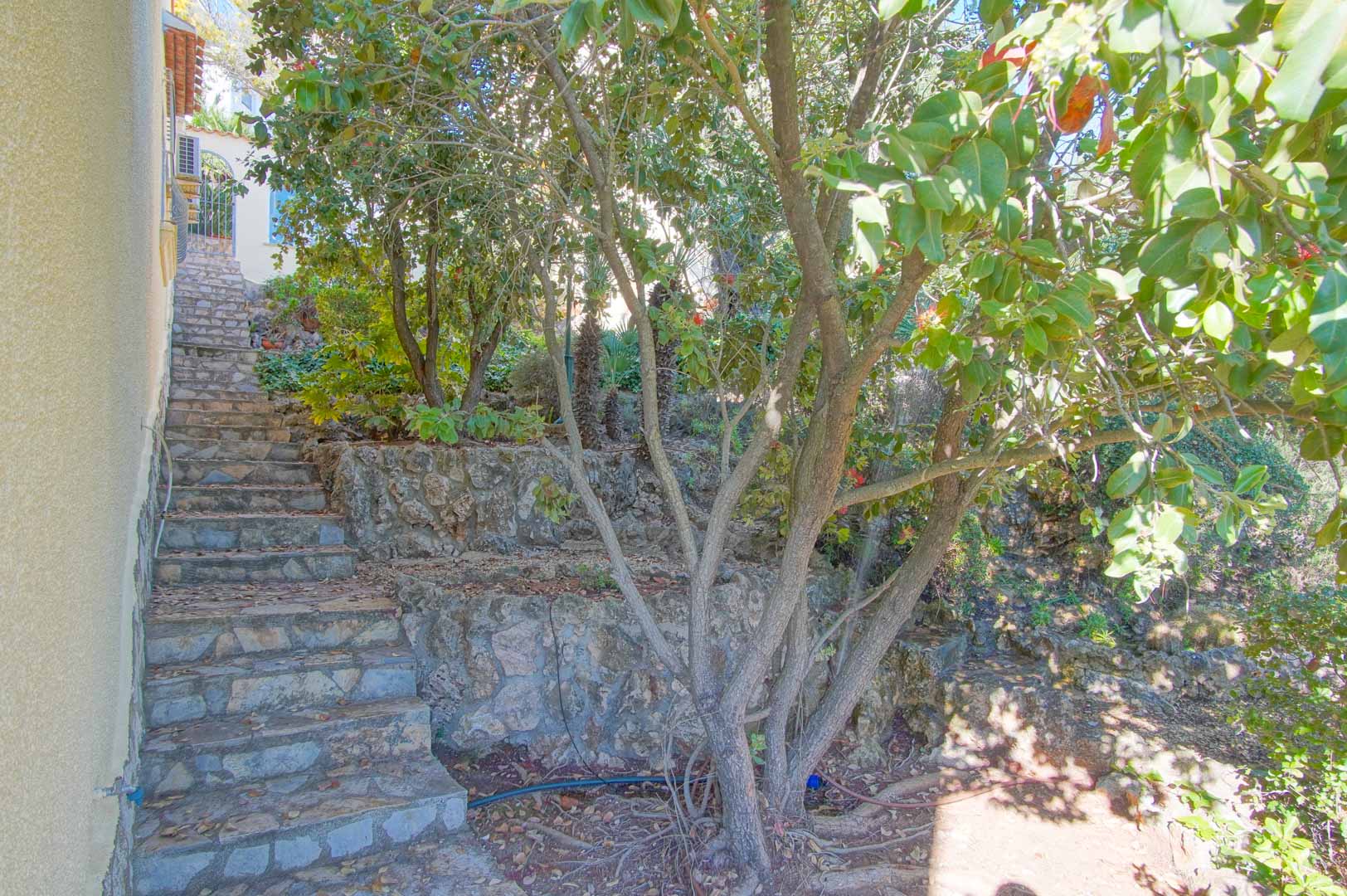 Escalera exterior de piedra natural que asciende por un jardín abancalado con muros de mampostería y vegetación mediterránea consolidada.