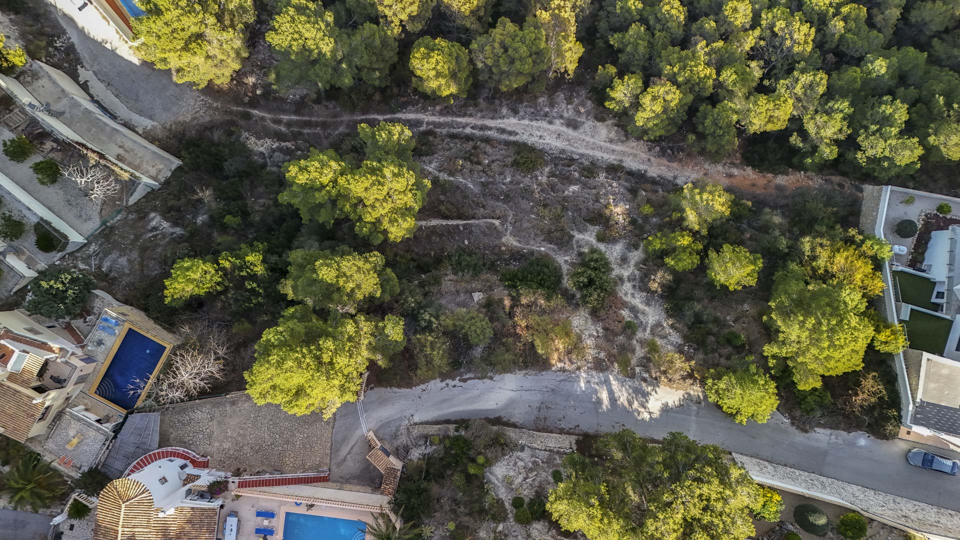 Vista aérea cenital de la parcela urbana en Benissa, mostrando su topografía natural con pinos autóctonos y acceso pavimentado junto a zonas residenciales.