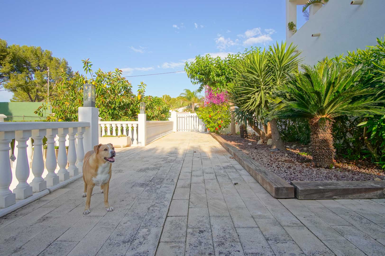Amplia terraza pavimentada con balaustrada blanca, rodeada de vegetación mediterránea, palmeras y buganvillas, que conecta con los jardines exteriores de la propiedad.