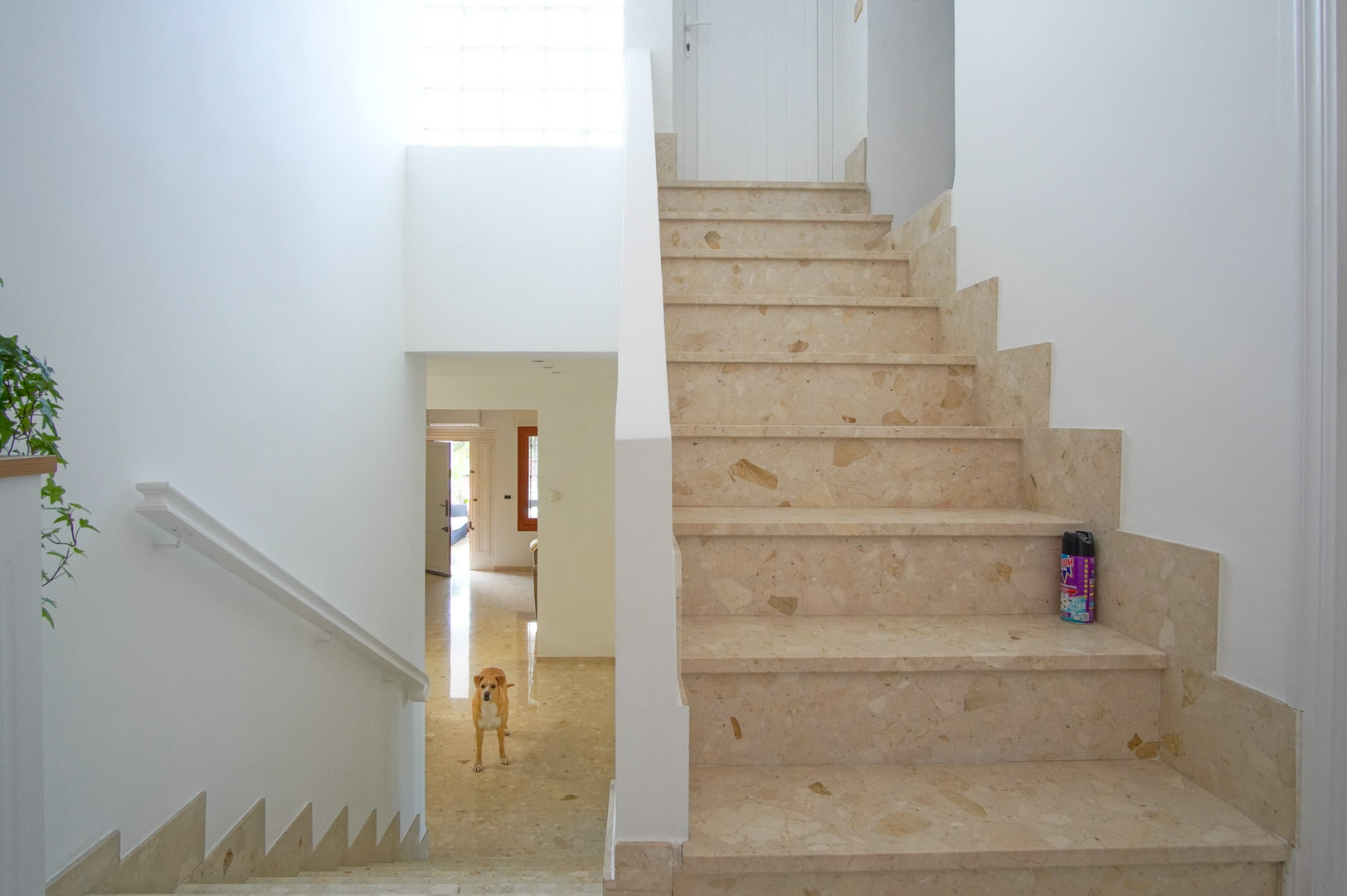 Escalera interior revestida en mármol crema con rodapié integrado, iluminada por luz natural a través de un ventanal de bloques de vidrio y paredes blancas.