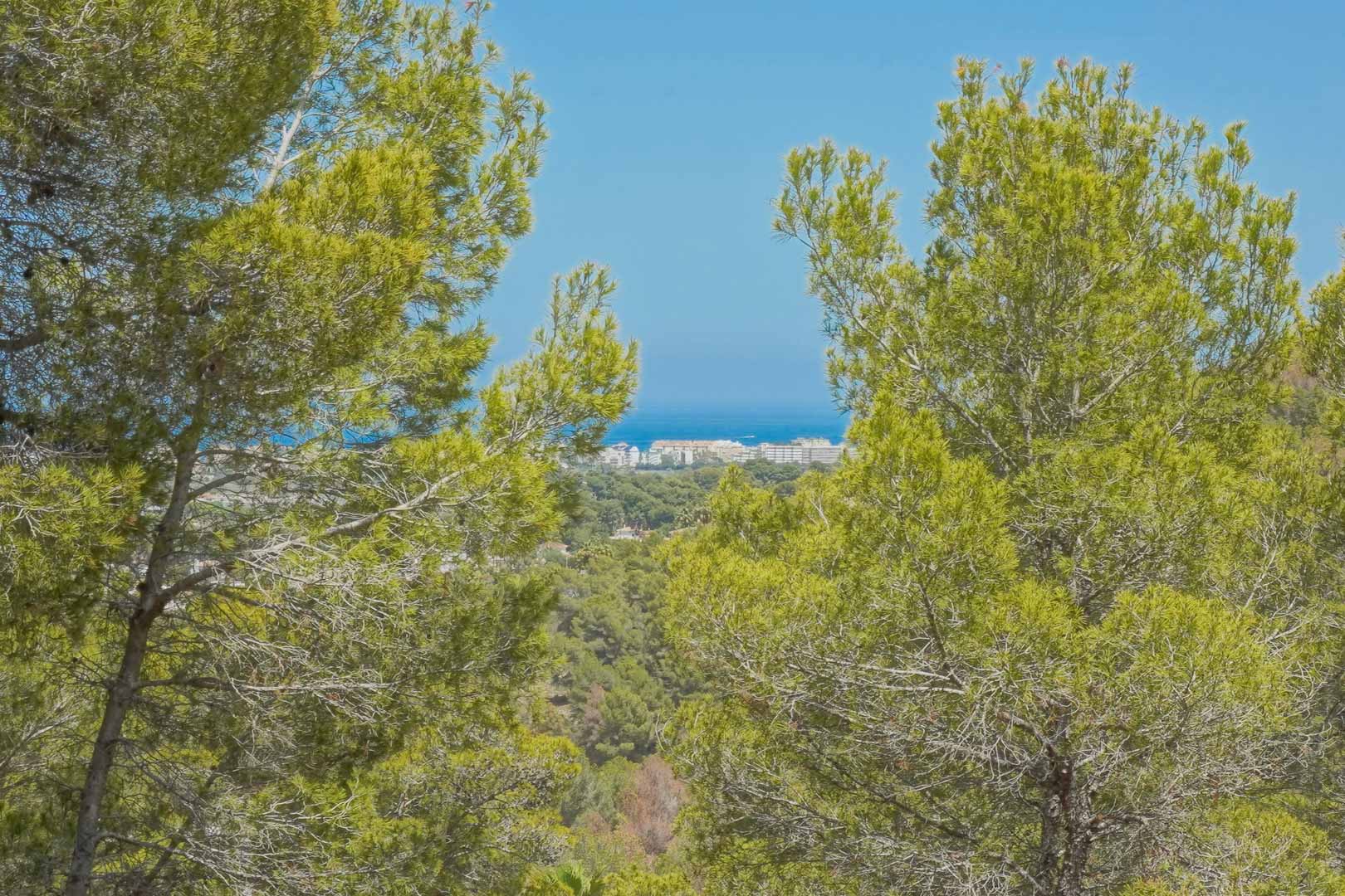 Vista panorámica del mar Mediterráneo y el núcleo urbano costero, enmarcada por la vegetación autóctona de pinos desde la elevación de la parcela.