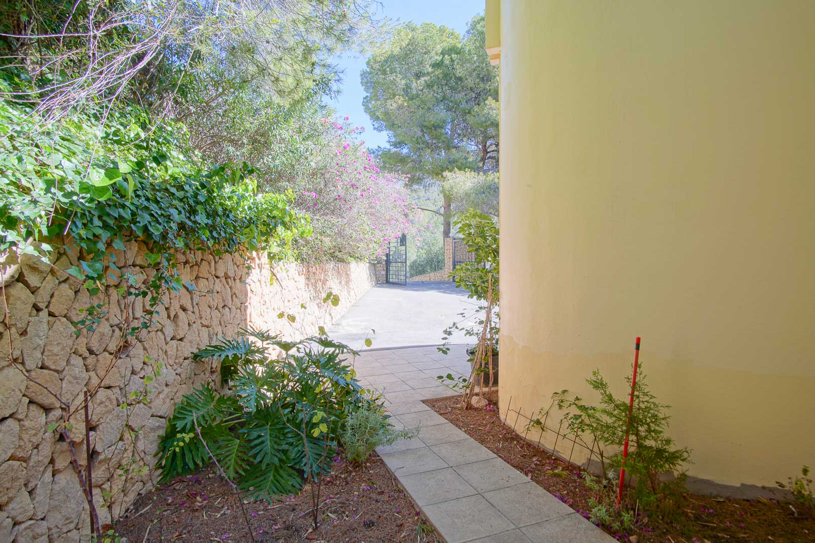 Sendero lateral pavimentado junto a un muro de piedra natural, flanqueado por vegetación mediterránea y la fachada curva de la villa, hacia el acceso exterior.