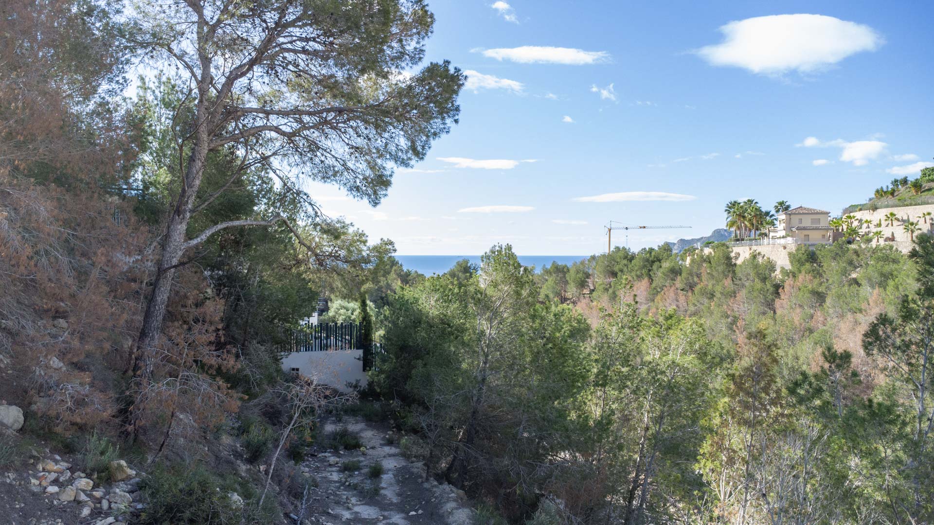 Vista panorámica al mar Mediterráneo desde la parcela elevada, rodeada de pinos autóctonos y vegetación natural en la zona de Raco de Galeno.