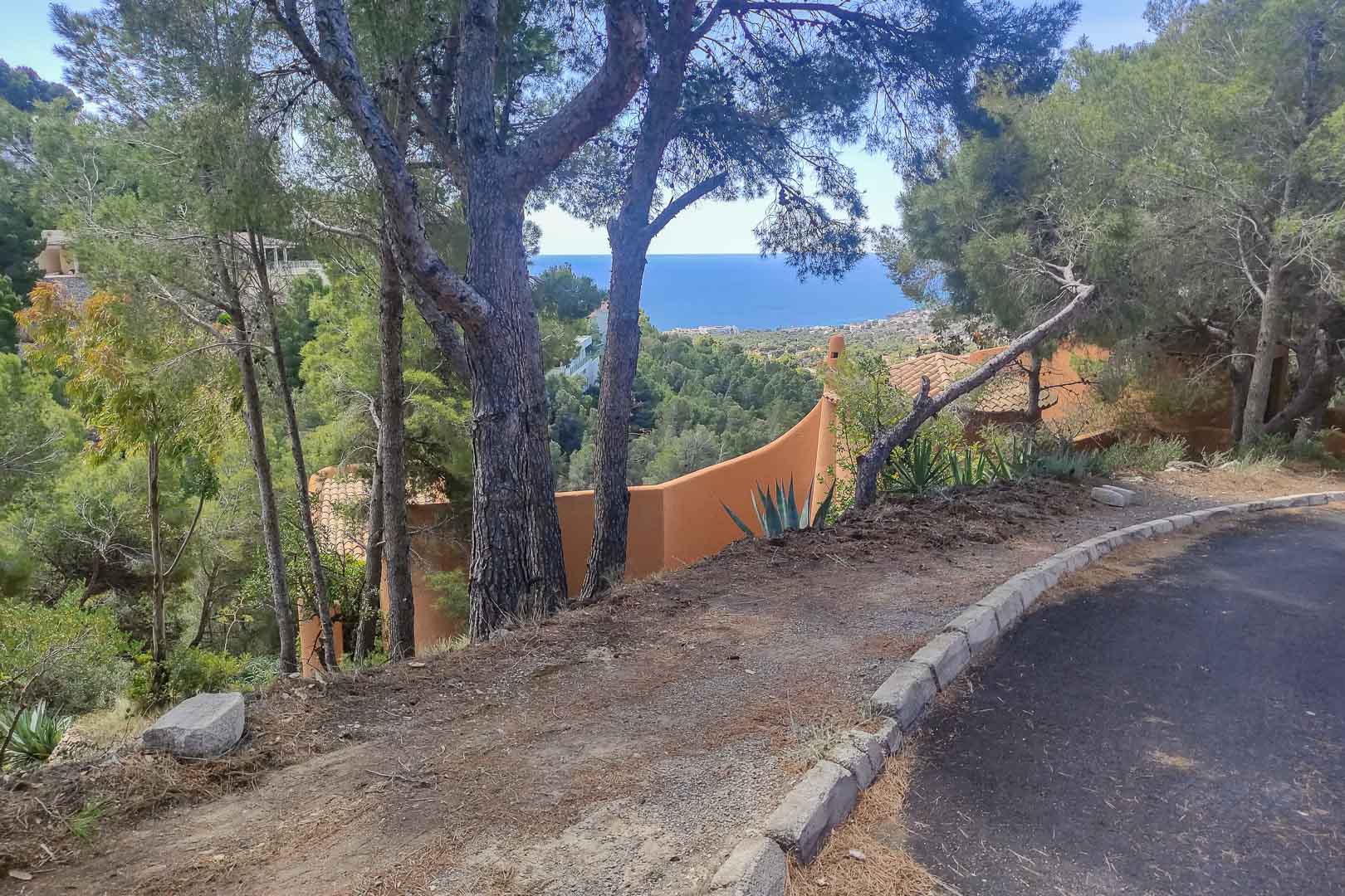 Vistas panorámicas al mar Mediterráneo desde el acceso elevado de la parcela, rodeado de pinos maduros y vegetación autóctona en un entorno natural.