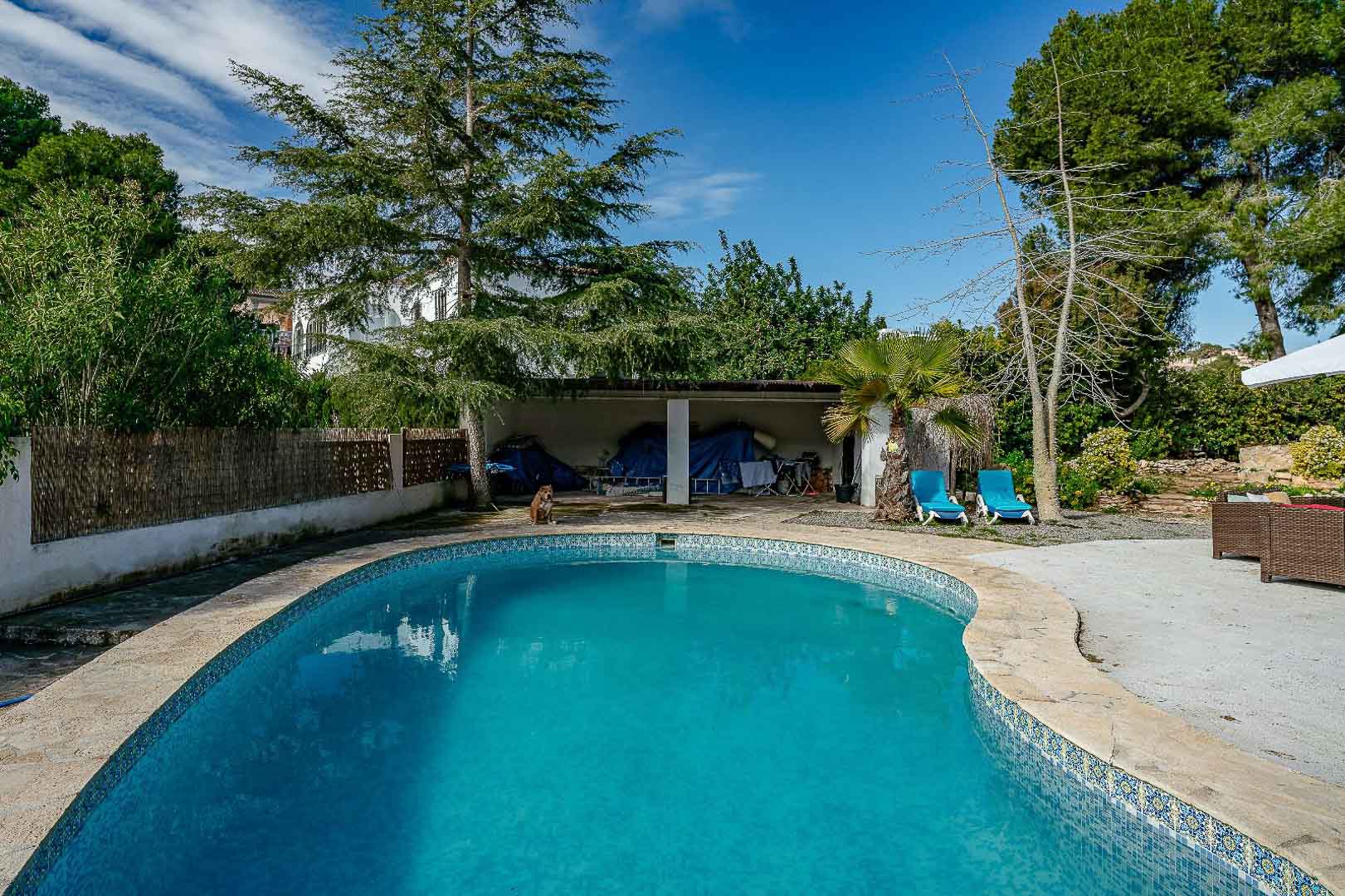 Piscina privada de forma riñonada con bordura de piedra natural, rodeada de una amplia terraza y vegetación mediterránea madura que garantiza privacidad.