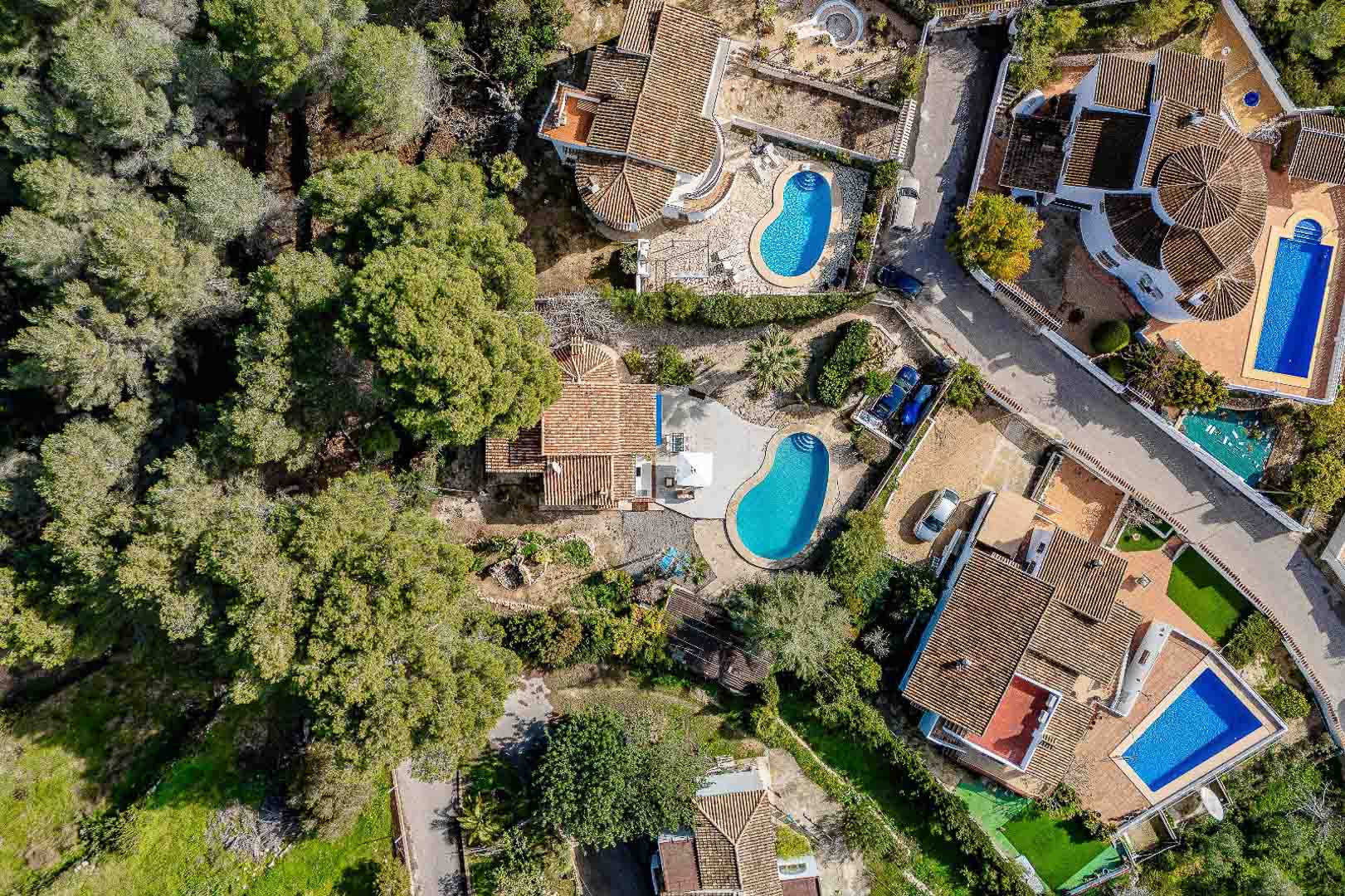Vista aérea cenital de la propiedad en La Arnella, mostrando la distribución de la parcela, la piscina de riñón y su integración con el bosque de pinos colindante.
