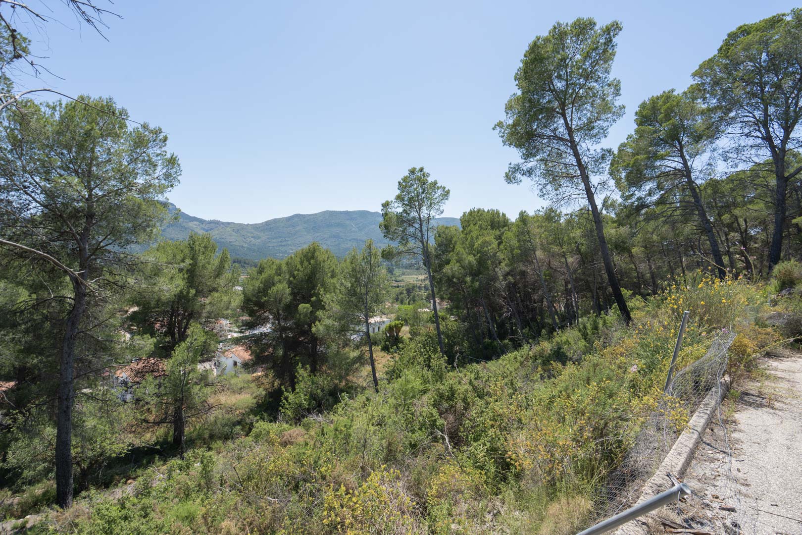 Vista panorámica desde la zona elevada en Alcalalí, rodeada de pinos autóctonos y con vistas despejadas hacia el valle de Jalón y las montañas circundantes.