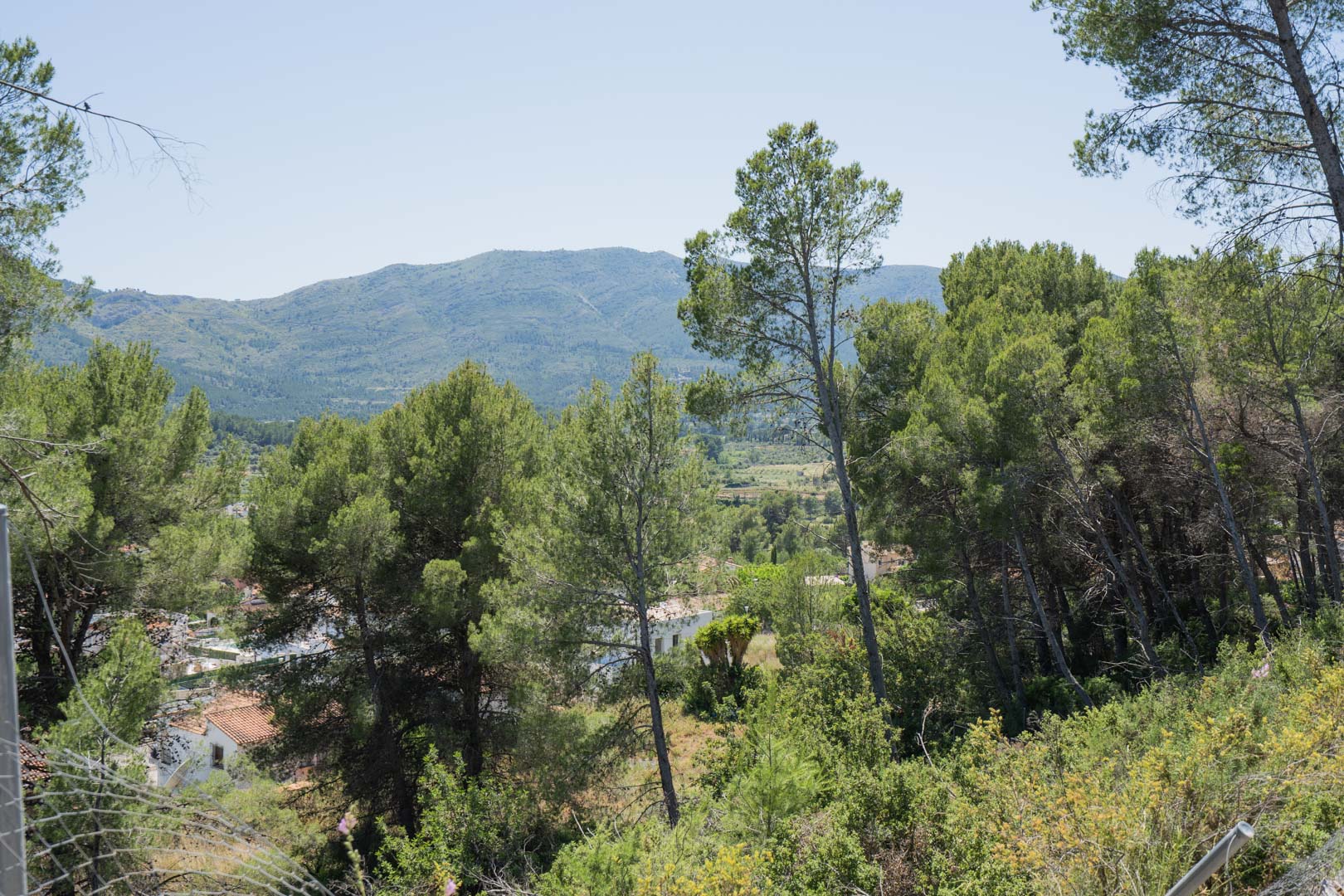 Vistas panorámicas desde la zona elevada de Alcalalí, mostrando el entorno natural del valle de Jalón rodeado de frondosos pinos y montañas.