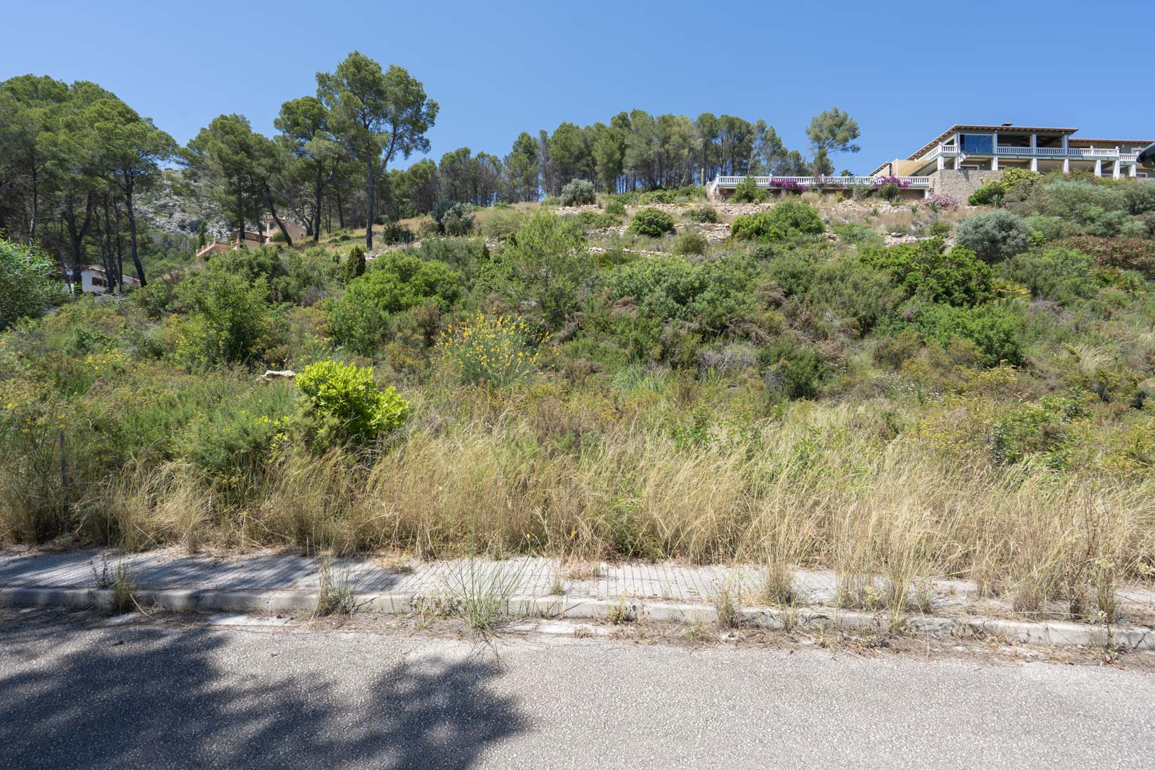 Parcela elevada en Alcalalí con vegetación mediterránea y acceso urbanizado, situada bajo una zona residencial con vistas despejadas al entorno natural.