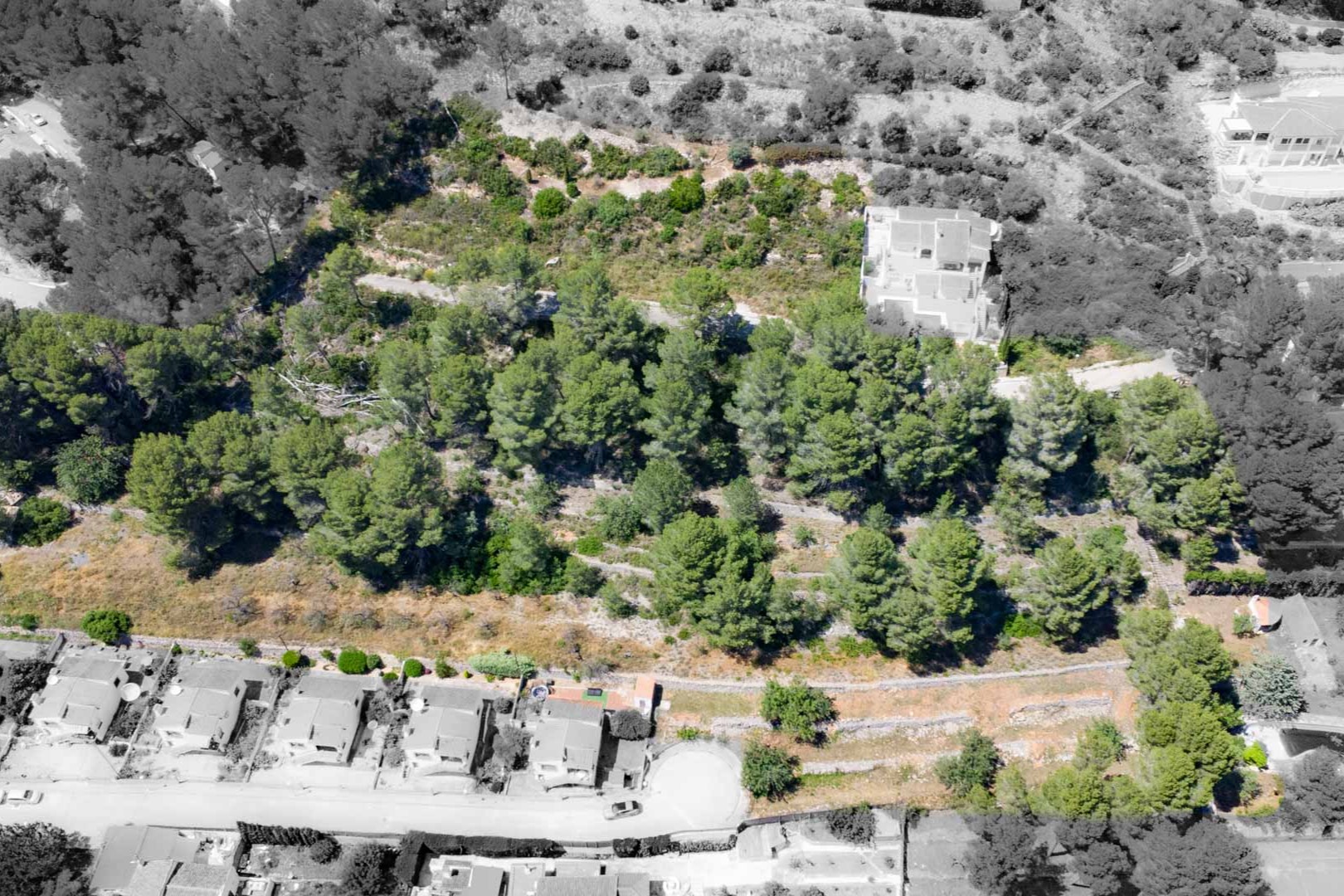 Vista aérea de las parcelas elevadas en Alcalalí, mostrando el terreno abancalado rodeado de pinos y la proximidad a viviendas existentes en el valle de Jalón.