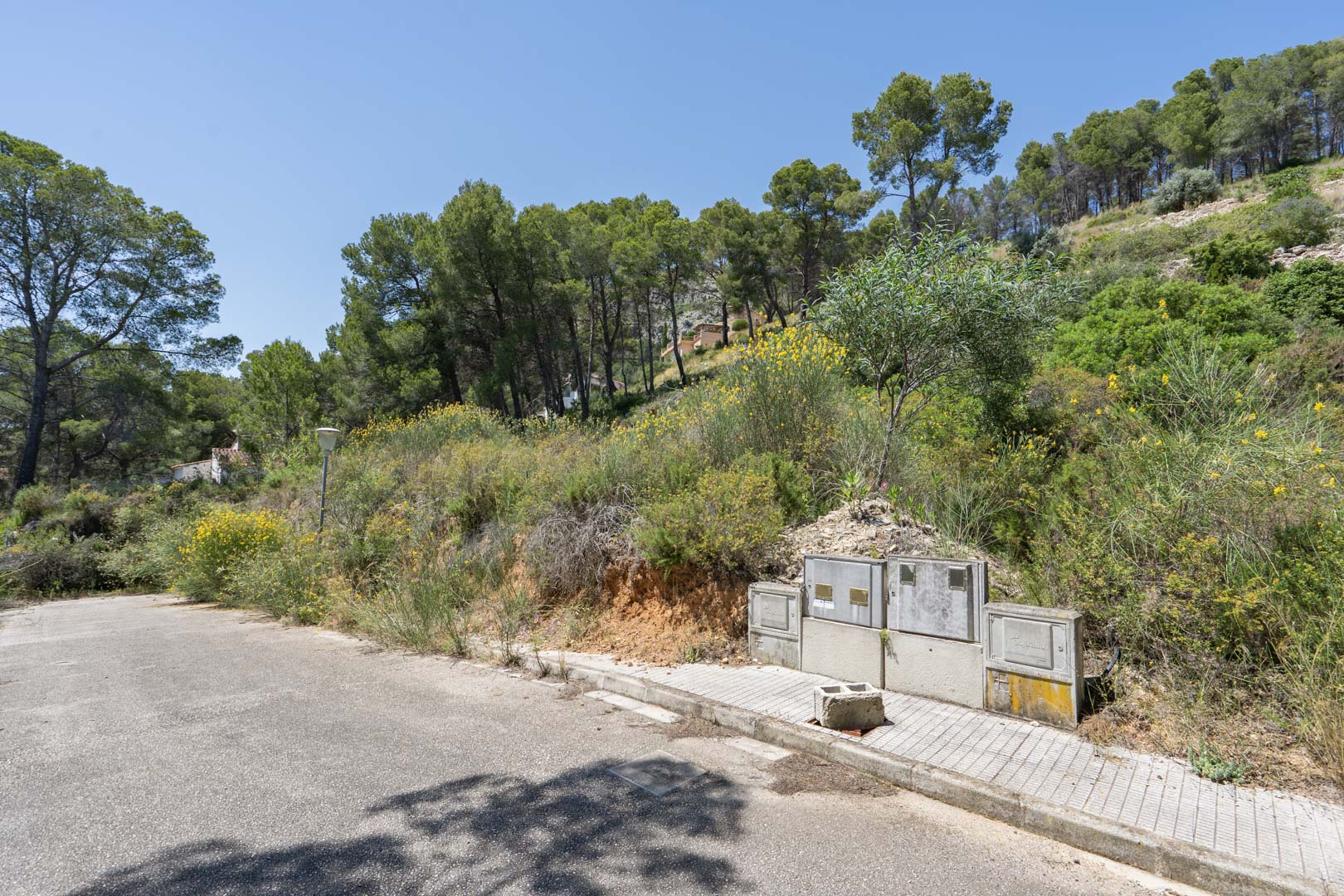 Vista de una de las parcelas elevadas en Alcalalí, con acceso asfaltado, conexiones de servicios instaladas y un entorno natural de pinos y vegetación mediterránea.