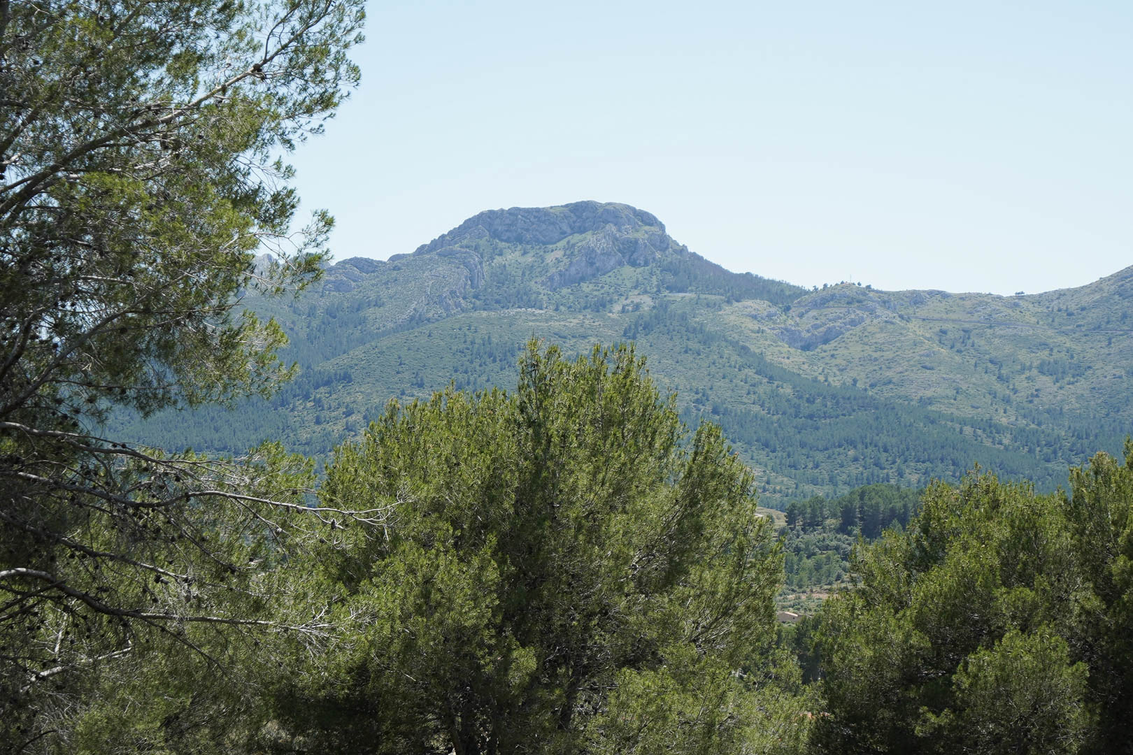 Vistas panorámicas a las montañas circundantes y al entorno natural de pinos desde la ubicación elevada del Residencial VALL DE POP en Alcalalí.
