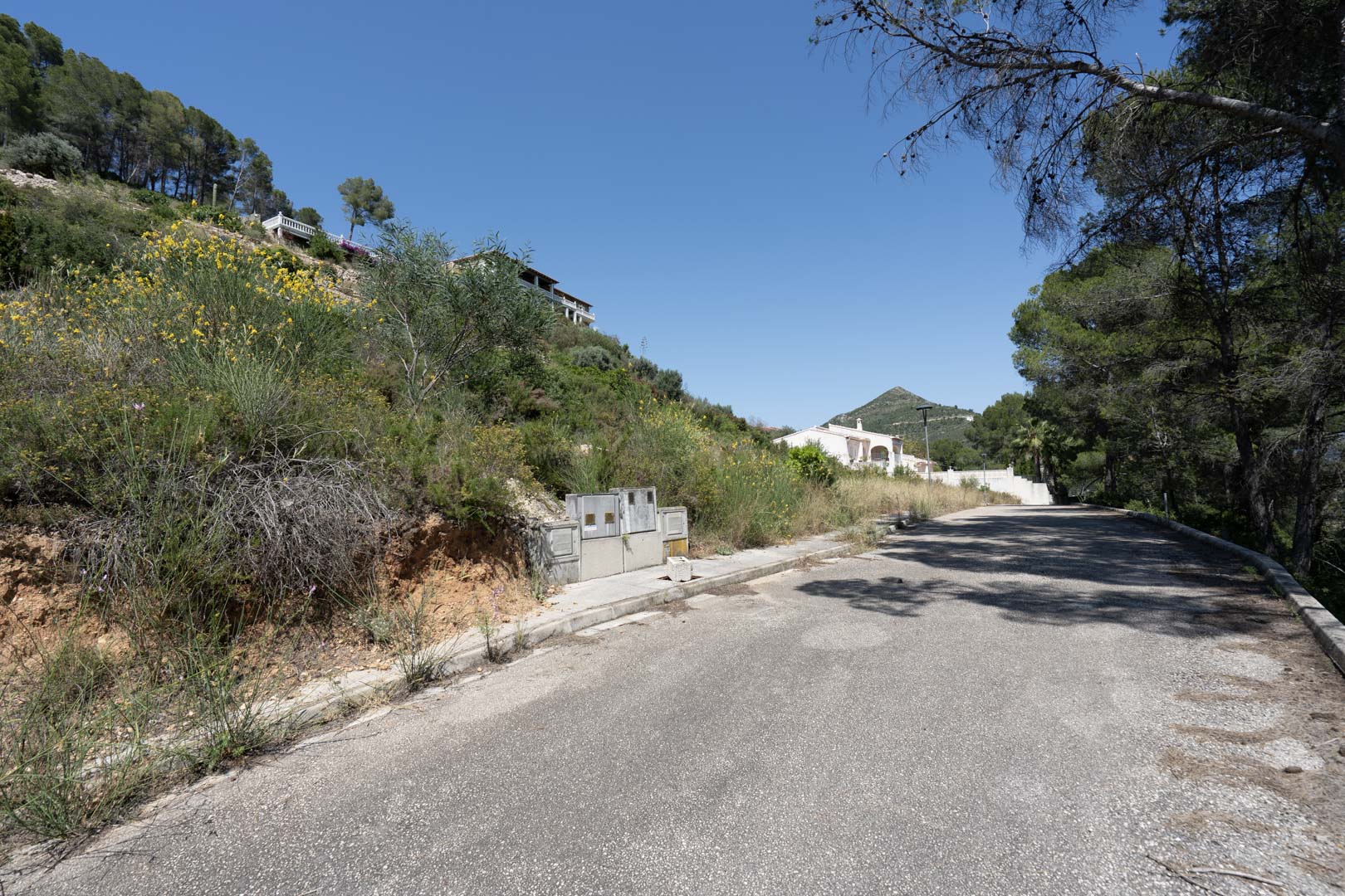 Calle de acceso asfaltada en el Residencial VALL DE POP, mostrando la infraestructura básica y el entorno natural de las parcelas elevadas en Alcalalí.