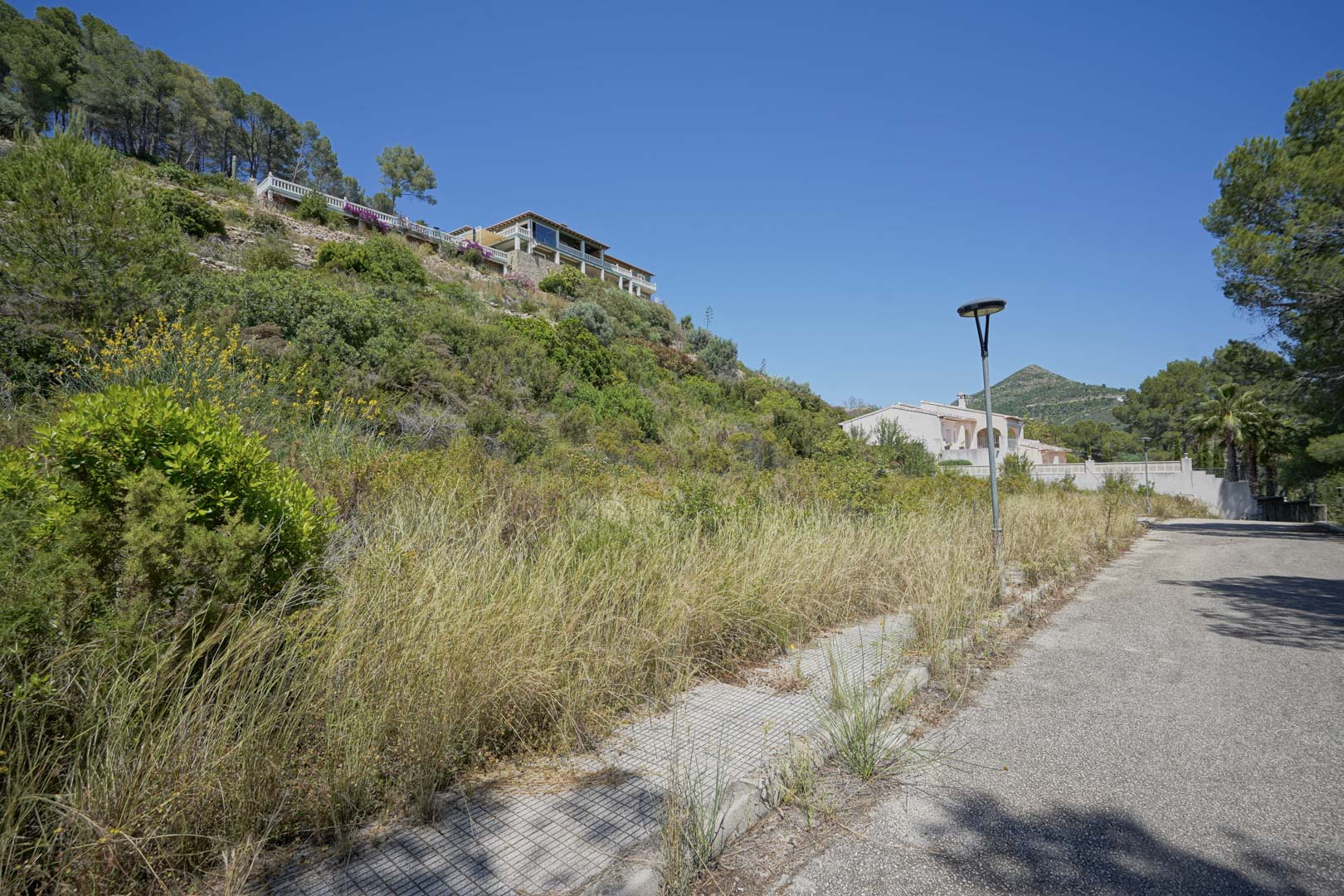 Vista de una de las parcelas disponibles en Alcalalí, situada en una calle urbanizada con iluminación y rodeada de vegetación mediterránea autóctona.