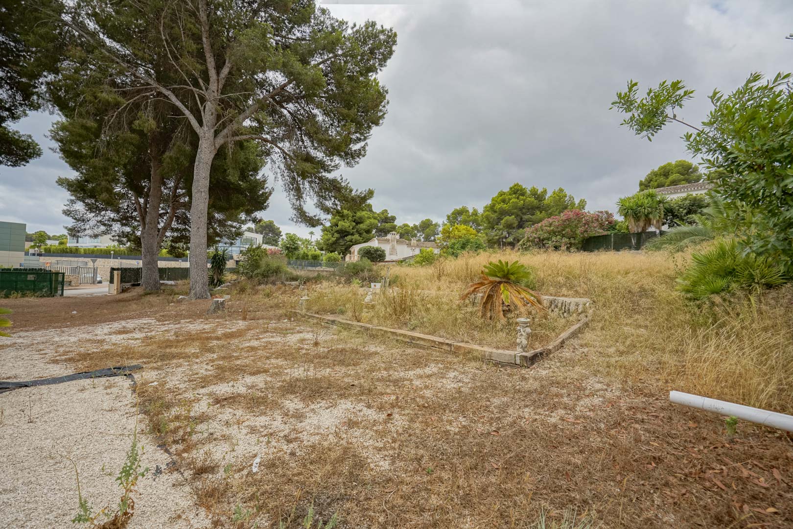 Vista general de la extensa parcela de 2.600 m2 con pinos maduros y vegetación natural, mostrando el potencial para la segregación en dos terrenos edificables.