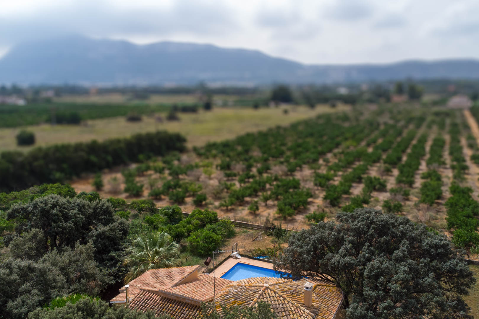 Vista aérea que muestra la piscina privada y el tejado de teja cerámica, rodeados de extensos campos de cultivo y vistas despejadas a las montañas.