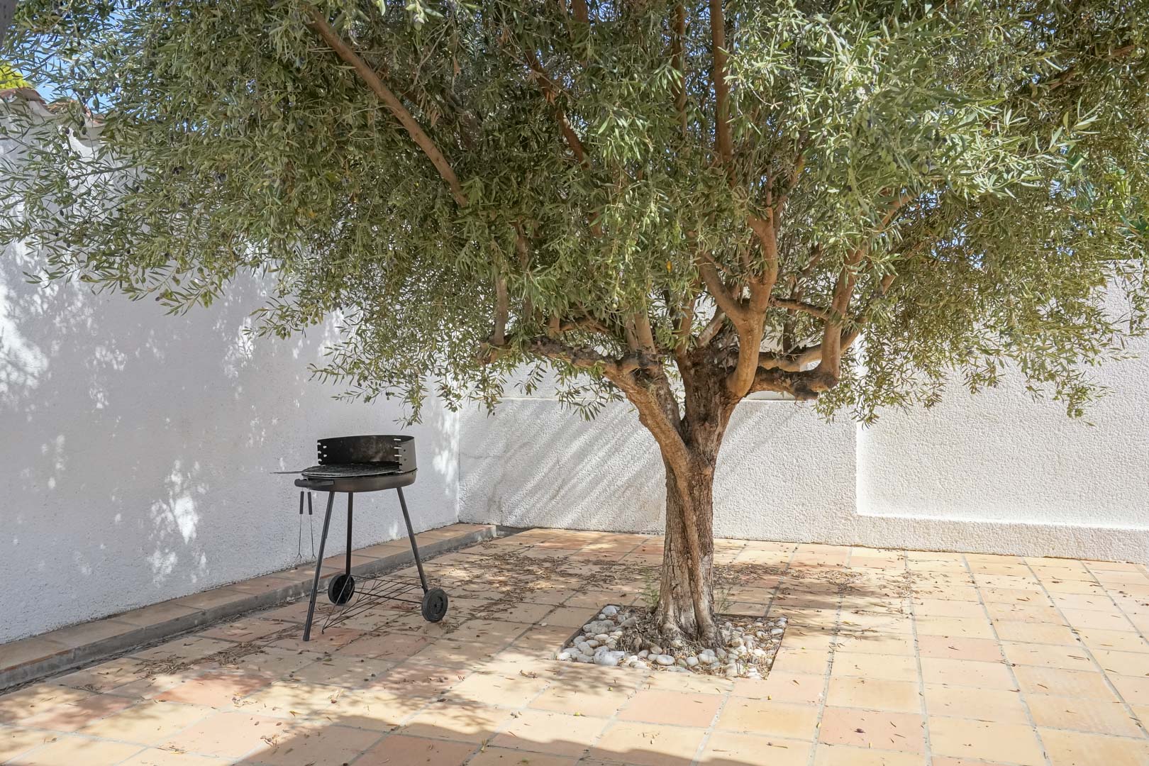 Rincón sombreado en el jardín mediterráneo con un olivo maduro, suelo de baldosas de terracota y una barbacoa portátil junto a muros blancos texturizados.