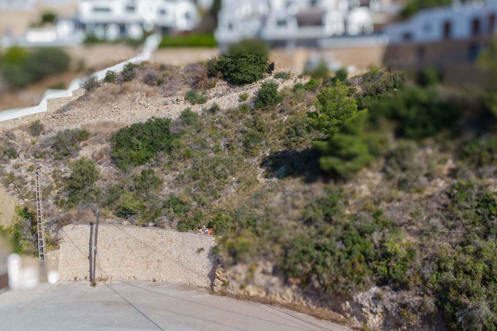 Parcela urbana elevada en El Portet con muros de contención de piedra natural y vegetación mediterránea autóctona junto a vía asfaltada.