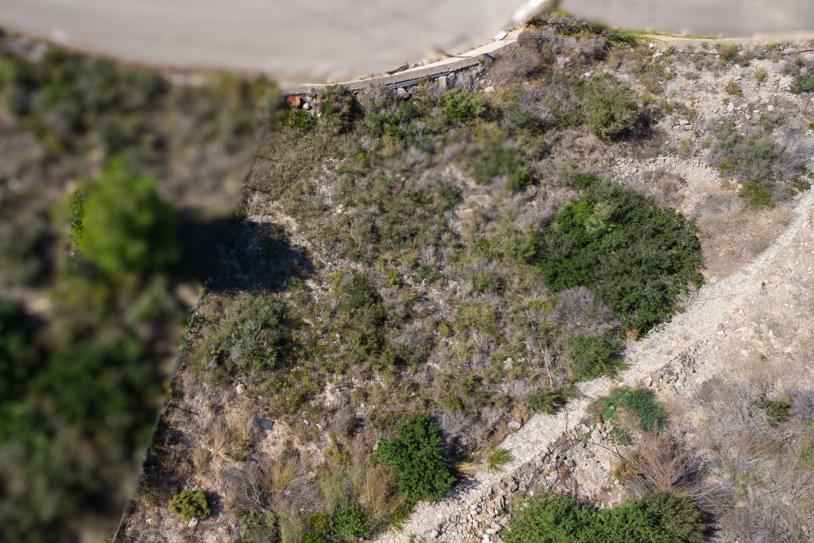 Vista aérea de la parcela urbana en pendiente, mostrando la vegetación autóctona mediterránea y el terreno rocoso delimitado por un camino de piedra.