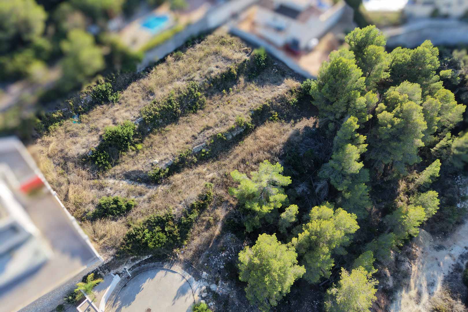 Vista aérea de la parcela urbana escalonada con muros de piedra seca, pinos mediterráneos y vegetación autóctona en una zona residencial consolidada de Moraira.