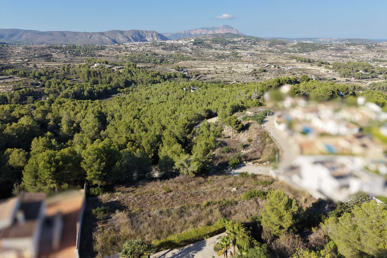 Vista panorámica desde la parcela hacia un extenso bosque de pinos y montañas. El entorno destaca por su paisaje aterrazado mediterráneo bajo un cielo despejado.