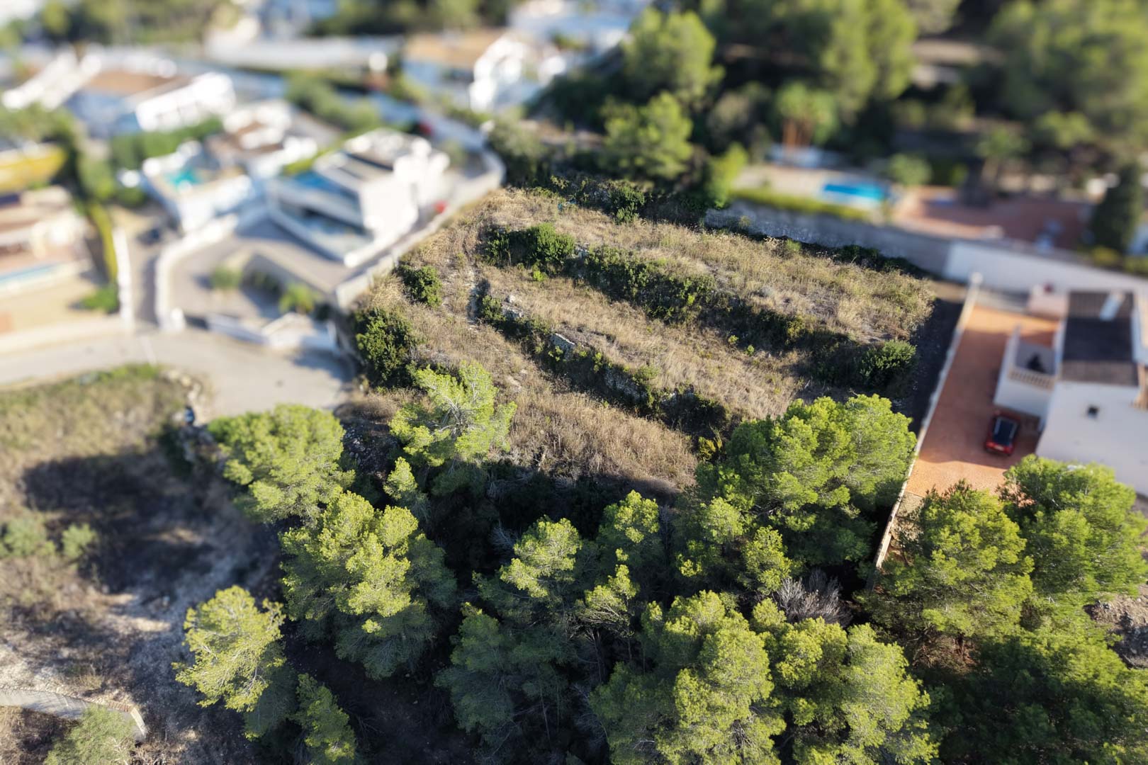Vista aérea de la parcela urbana escalonada con muros de piedra seca tradicionales, rodeada de pinos y villas residenciales en una zona consolidada de Moraira.