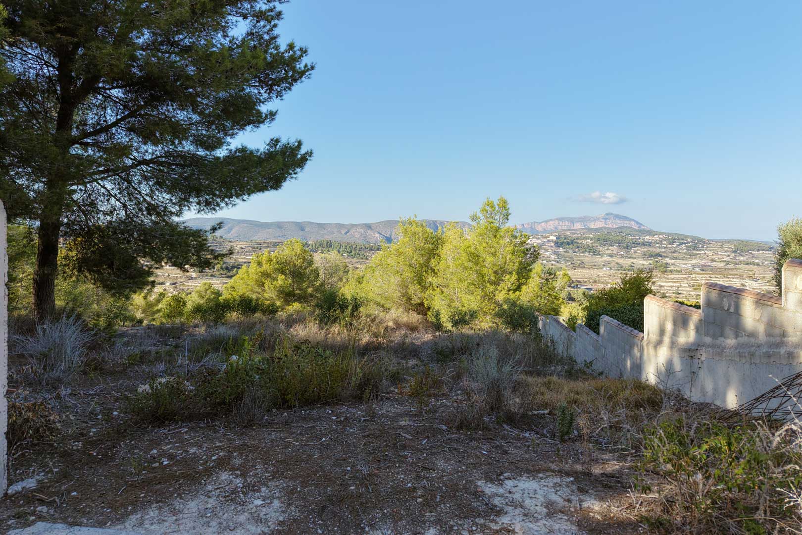 Parcela elevada con vistas panorámicas al valle y montañas. El terreno cuenta con vegetación natural, pinos maduros y un muro perimetral de bloque escalonado.
