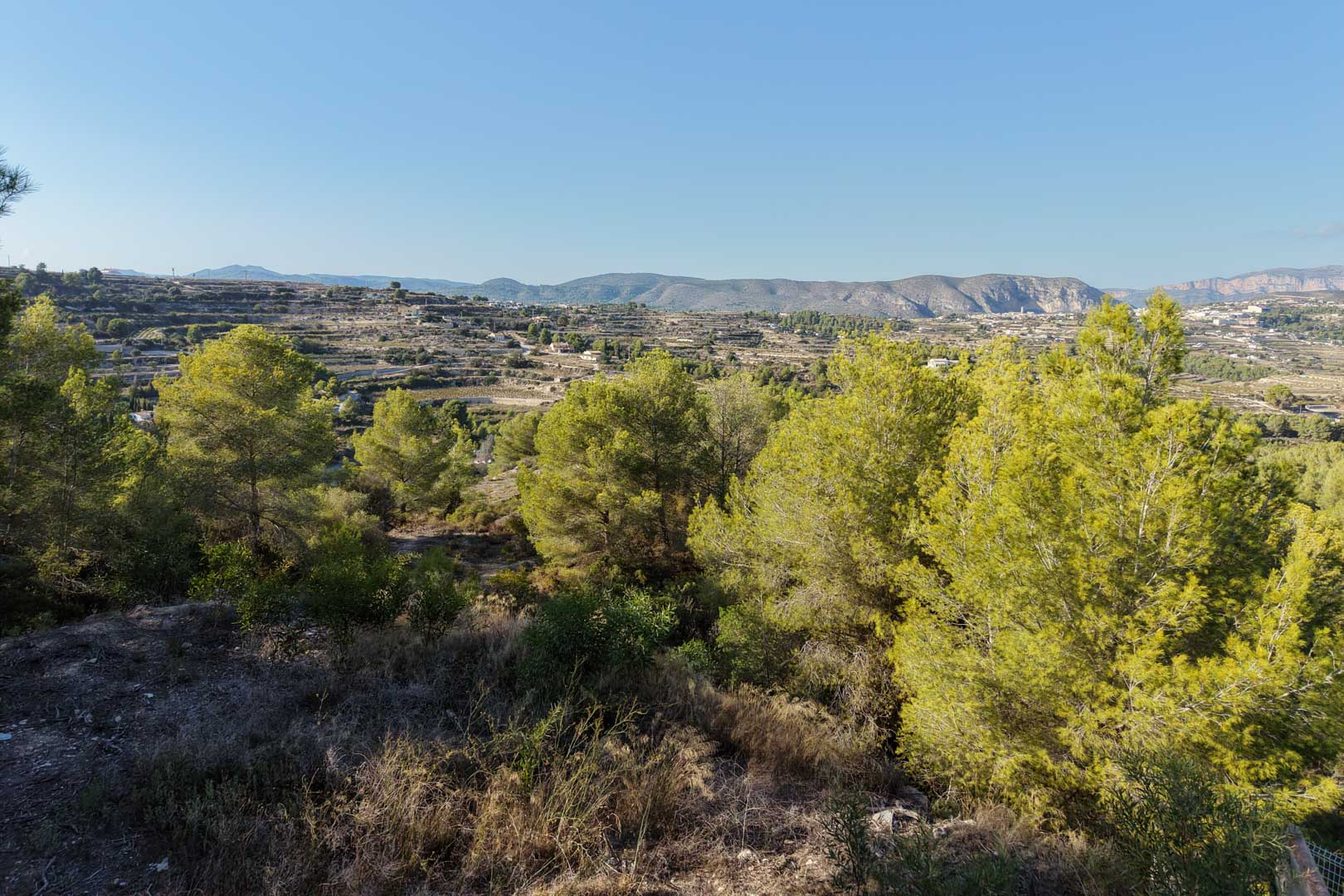 Vista panorámica desde la parcela hacia el valle y las montañas, destacando el entorno natural con pinos autóctonos y bancales tradicionales bajo un cielo despejado.