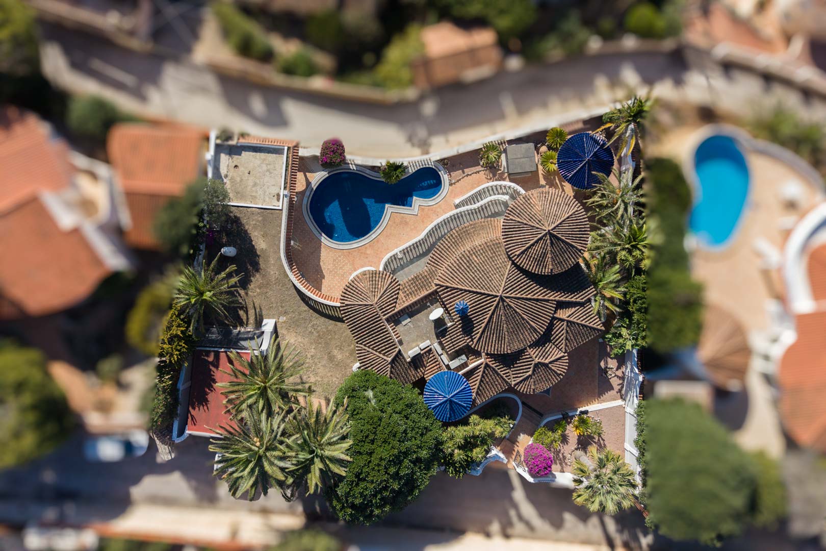 Vista aérea de la propiedad que destaca su arquitectura de tejados circulares, la piscina de forma orgánica y las terrazas rodeadas de palmeras y vegetación.