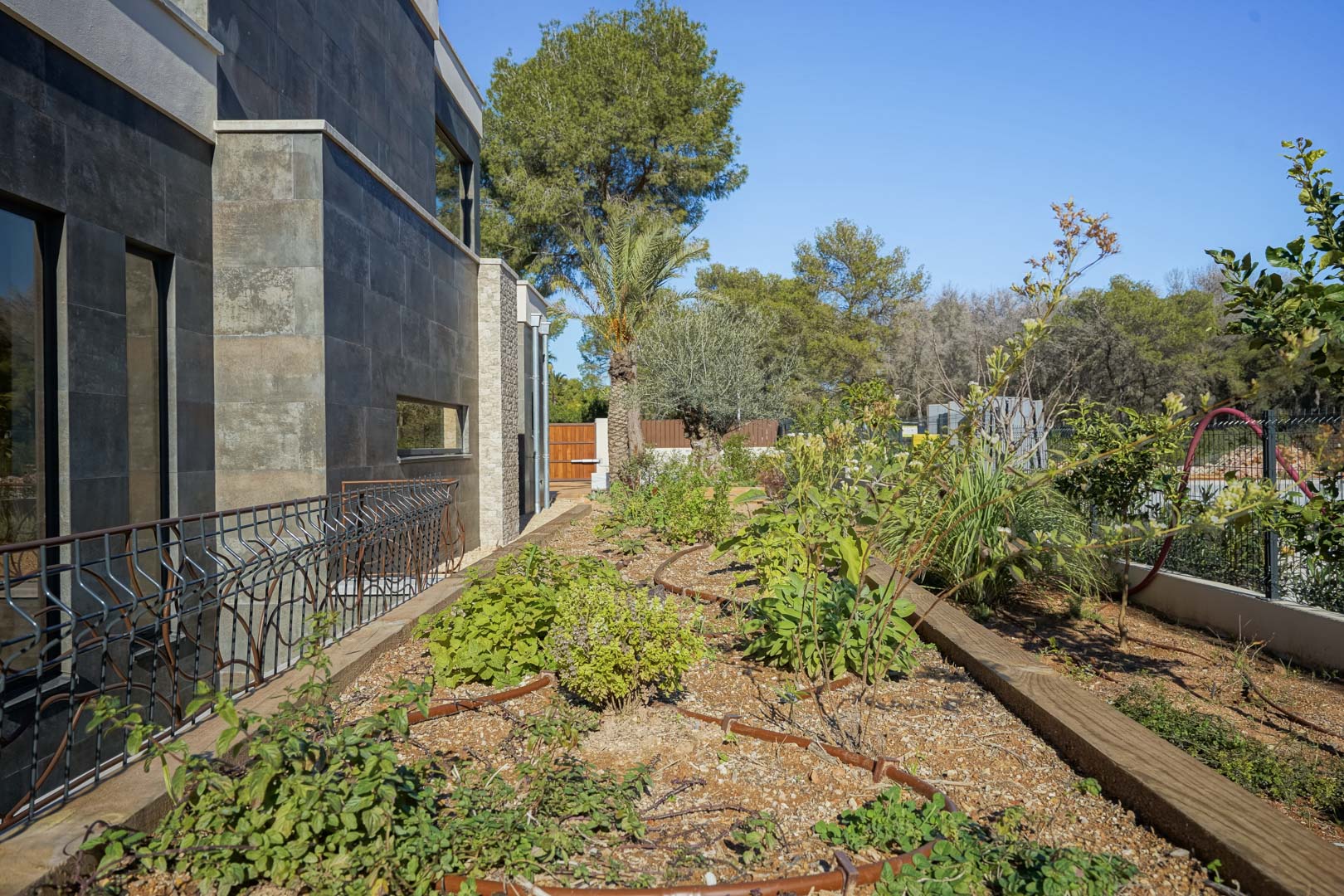 Fachada moderna revestida en piedra oscura junto a un jardín mediterráneo con sistema de riego por goteo y vegetación autóctona.