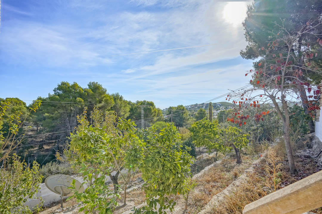 Vistas despejadas desde la propiedad hacia un entorno natural de pinos y colinas, con árboles frutales en primer plano y abundante luz solar.