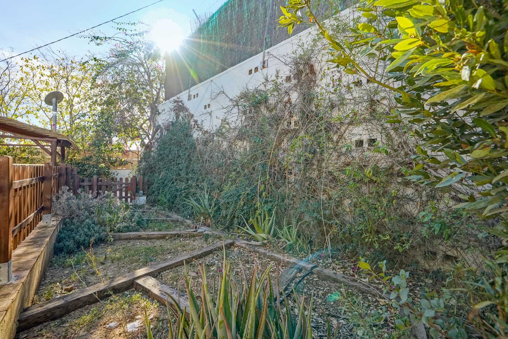Zona ajardinada con bancales delimitados por vigas de madera, plantas de aloe vera y vegetación trepadora sobre un muro perimetral bajo luz natural.