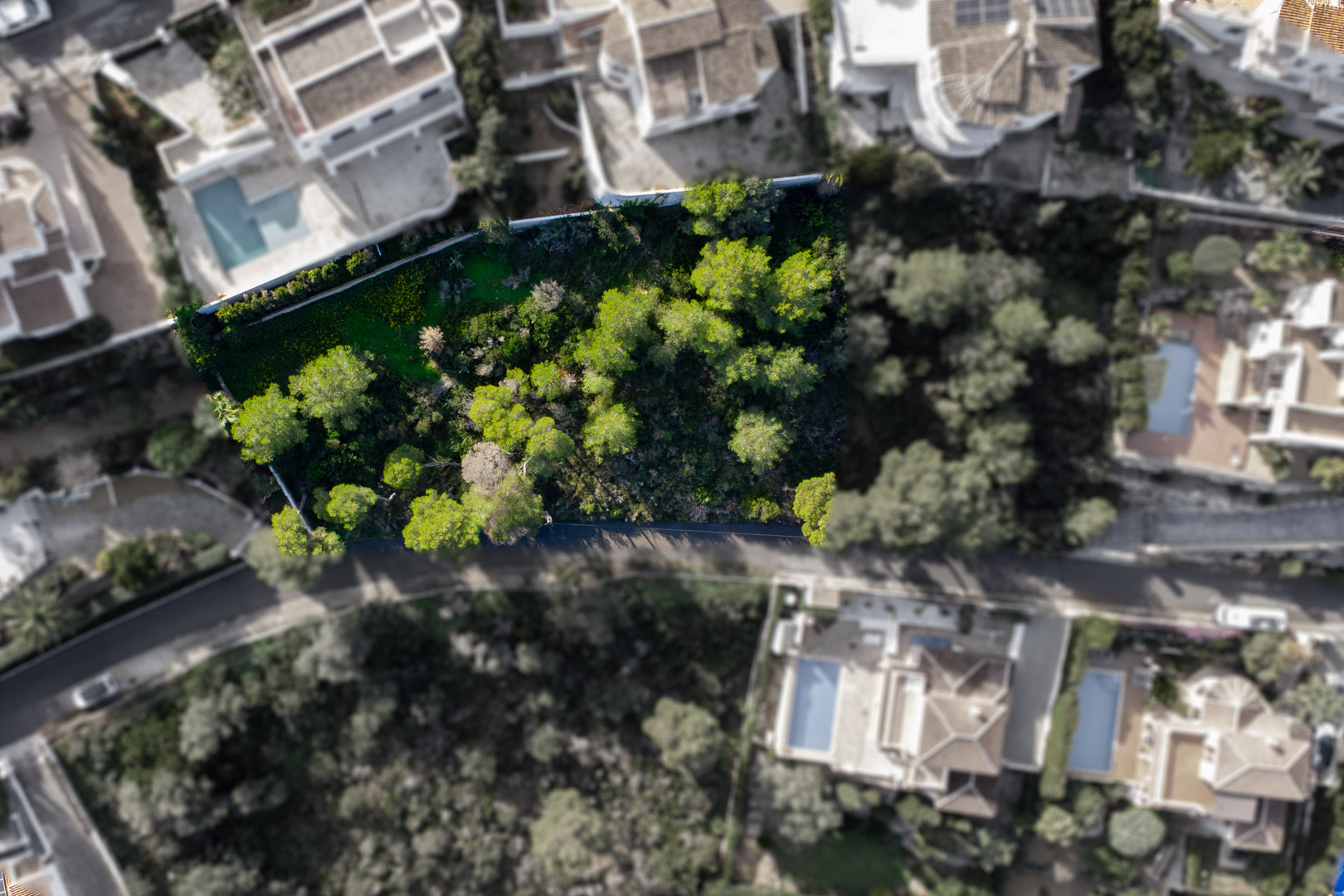 Vista aérea cenital de la parcela de 1521 m2, destacando su densa vegetación de pinos y su ubicación privilegiada rodeada de villas residenciales en Jávea.