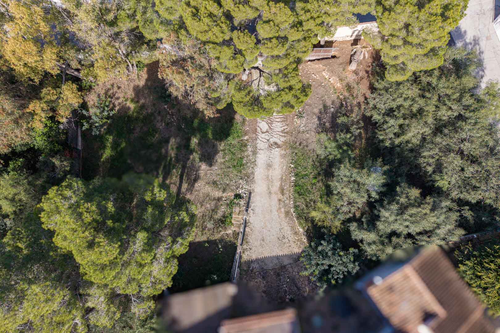 Vista aérea de la parcela que muestra el camino de acceso flanqueado por pinos maduros y vegetación autóctona, delimitada por muros de piedra perimetrales.