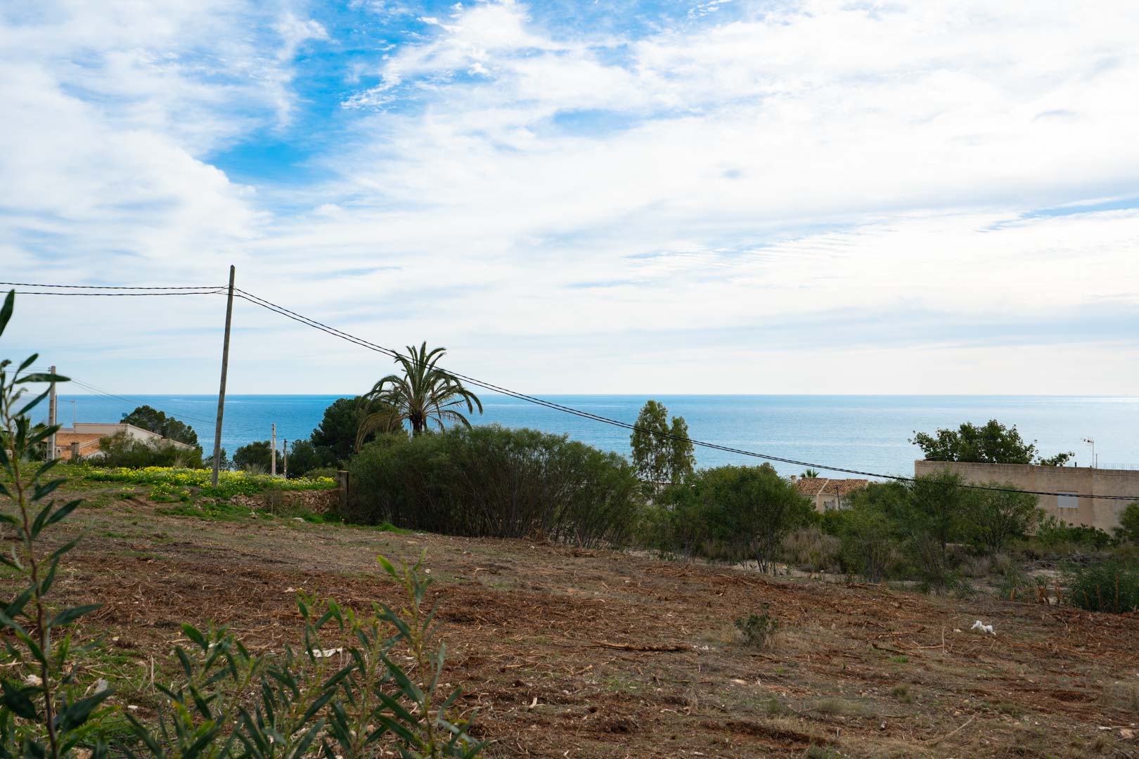 Parcela elevada con vistas despejadas al mar Mediterráneo, rodeada de vegetación autóctona y una palmera bajo un cielo luminoso.