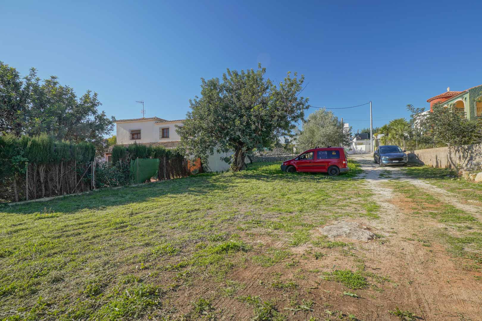 Parcela exterior con zona de césped, camino de acceso de tierra y un algarrobo centenario junto a la vivienda tradicional al fondo.