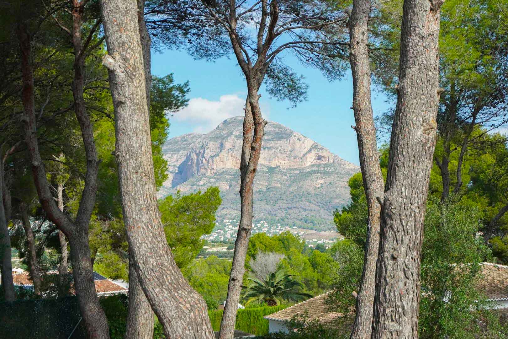 Vista panorámica del macizo del Montgó enmarcada por pinos maduros desde la parcela en La Lluca, mostrando el entorno natural y las villas circundantes.