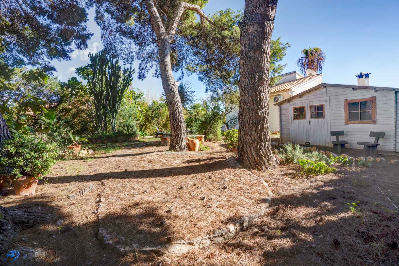 Jardín mediterráneo con pinos maduros, cactus y vegetación autóctona. Incluye una caseta de madera blanca para almacenamiento junto a una zona de descanso sombreada.