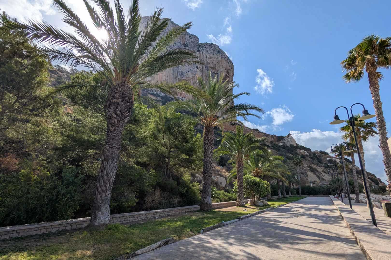 Paseo marítimo pavimentado junto al Peñón de Ifach, rodeado de palmeras maduras y vegetación mediterránea bajo un cielo despejado en Calpe.