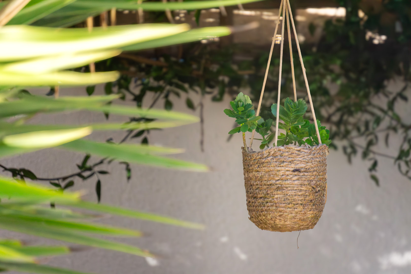 Detalle decorativo de una maceta colgante de fibras naturales con suculentas, integrada en el jardín de bajo mantenimiento bajo la luz natural del Mediterráneo.
