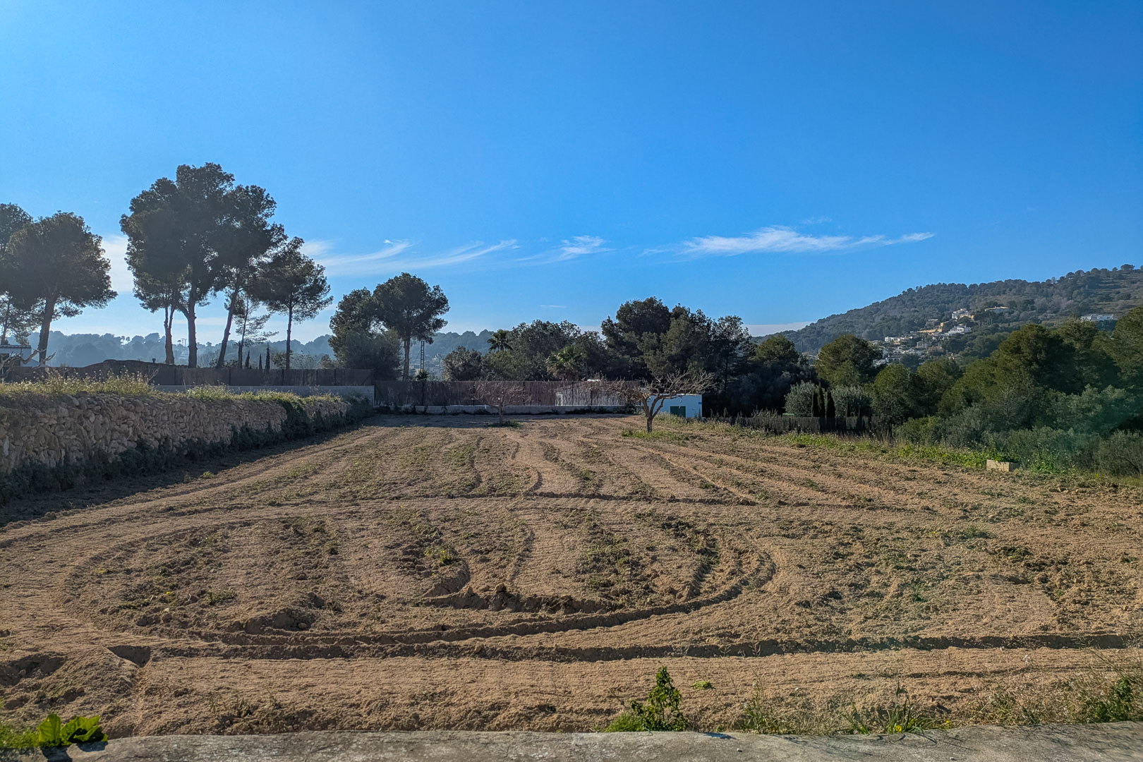Parcela rústica llana y labrada, delimitada por un muro de piedra tradicional, con vistas despejadas a las colinas circundantes y pinos maduros bajo un cielo despejado.