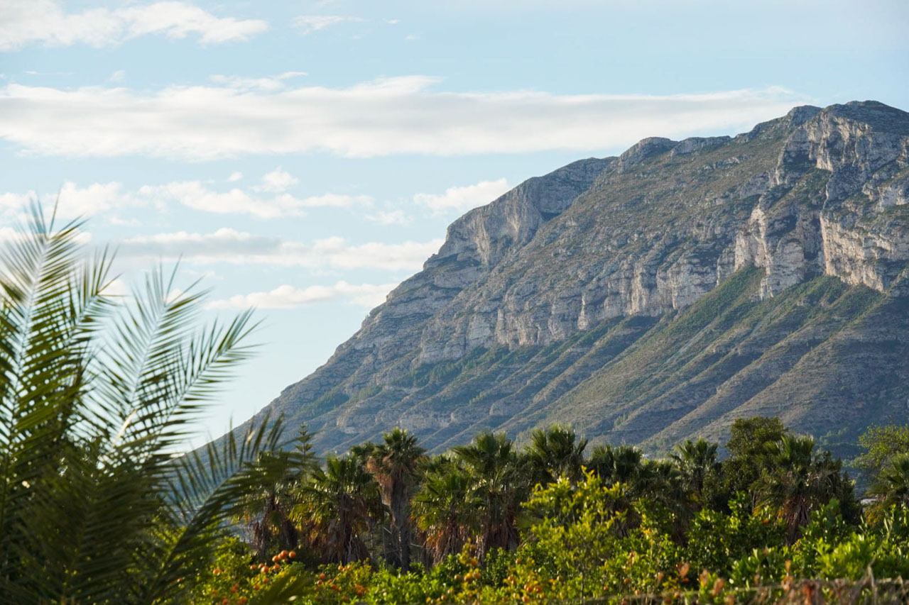 Vistas despejadas al macizo del Montgó desde la propiedad, rodeada de vegetación mediterránea autóctona, palmeras y campos de cítricos bajo un cielo despejado.